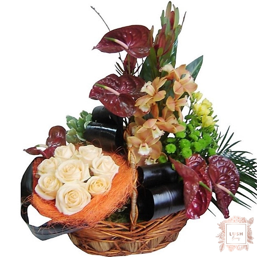 Aranjament floral Trandafiri, Cymbidium & Anthurium