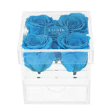 PRE-COMANDA Crystal Box cu 5 trandafiri criogenati bleu
