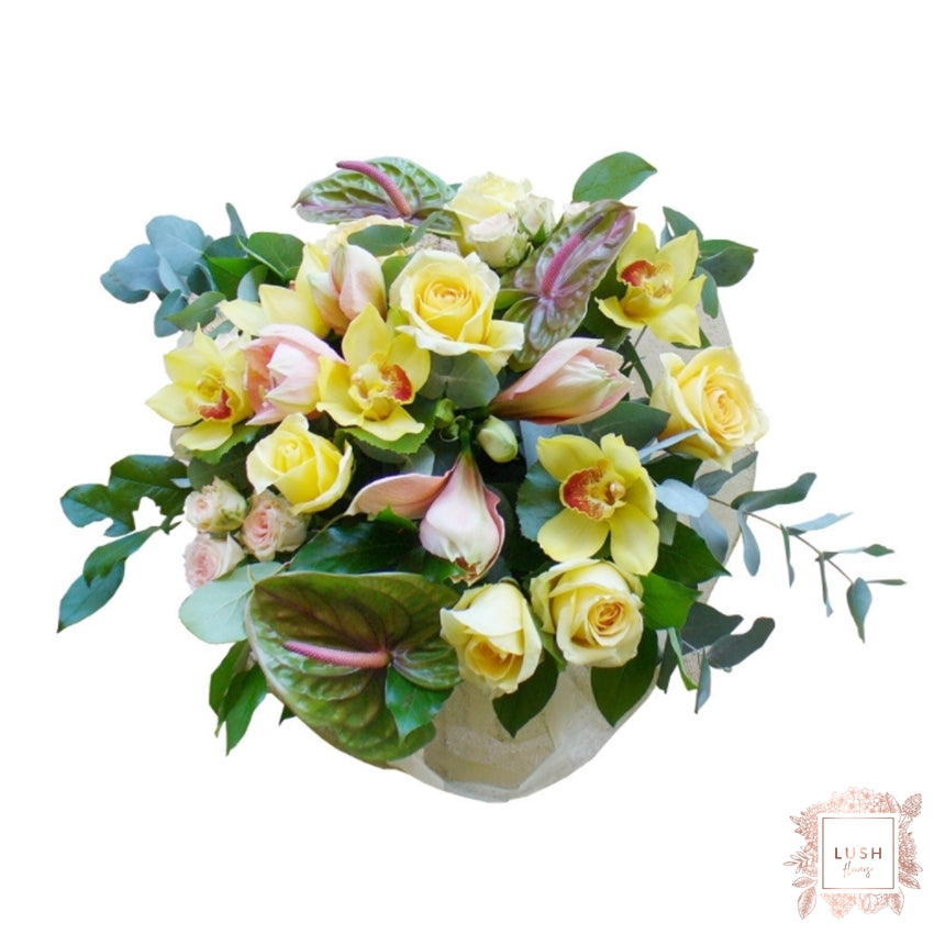 Buchet Trandafiri, Anthurium si Cymbidium
